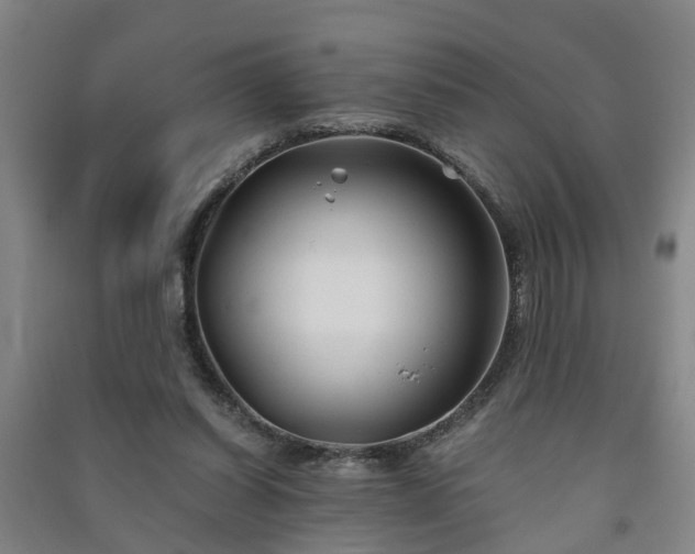 X0000091240254200708161742