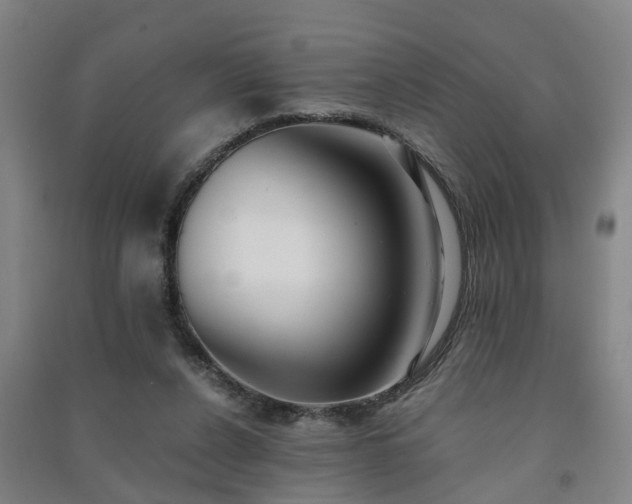 X0000091240256200708161742