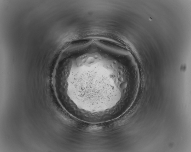 X0000091240257200708161742