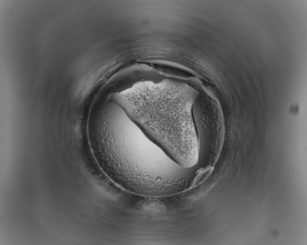 X0000091240258200708161742