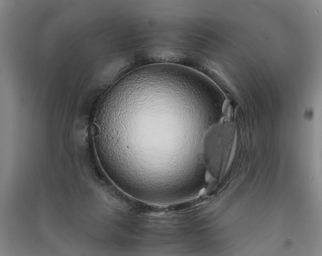 X0000091240259200708161742