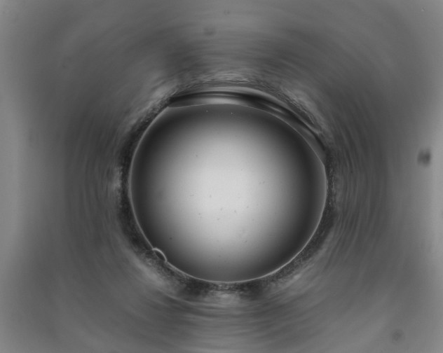 X0000091240260200708161742