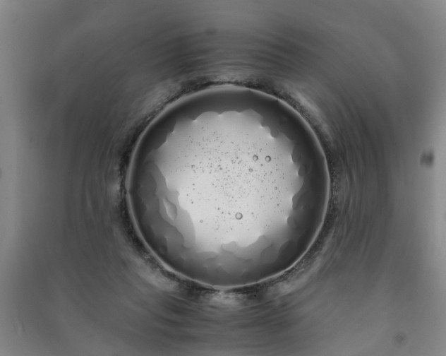 X0000091240261200708161742