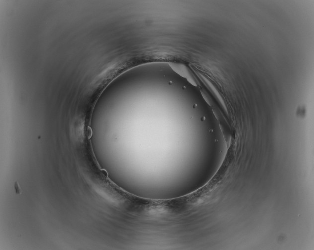 X0000091240262200708161742