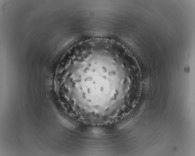 X0000091240264200708161742