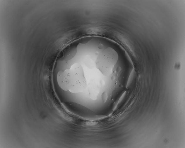 X0000091240265200708161742