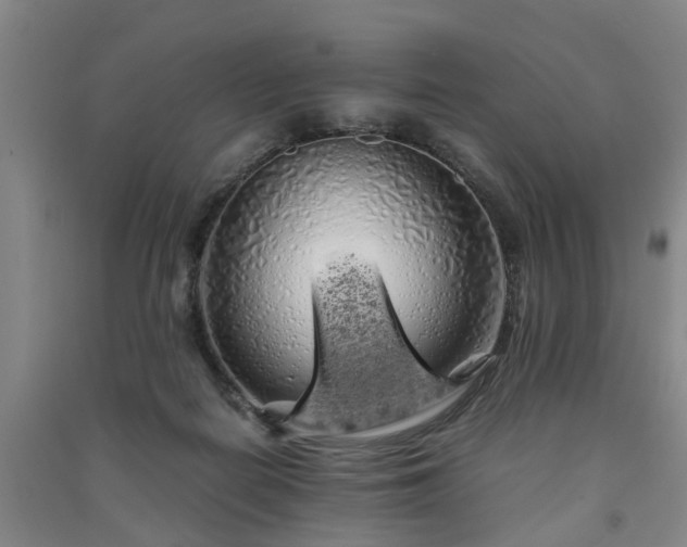 X0000091240266200708161742