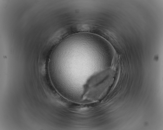X0000091240267200708161742