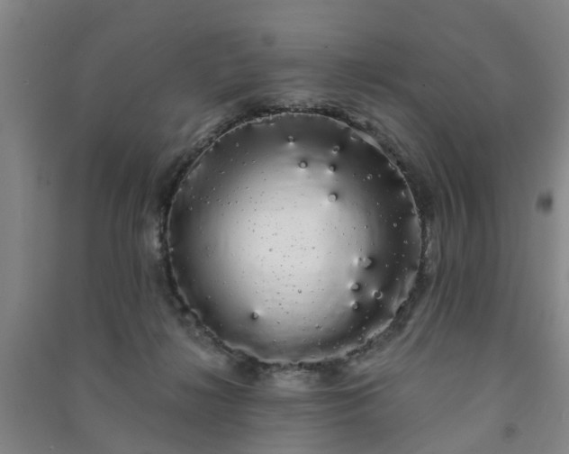 X0000091240268200708161742