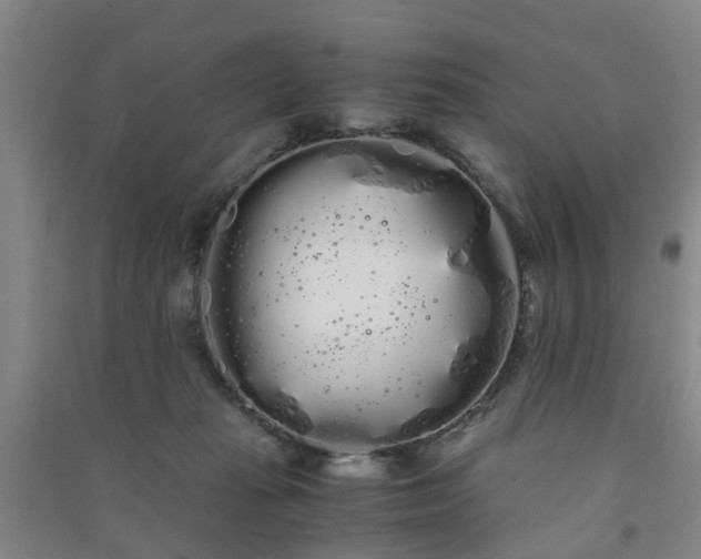 X0000091240269200708161742