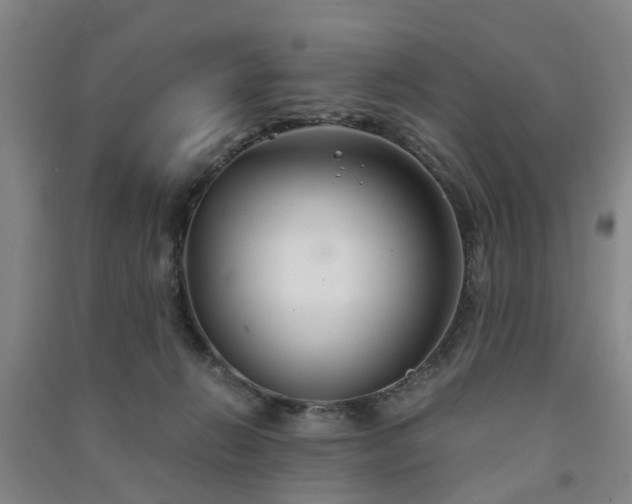 X0000091240270200708161742