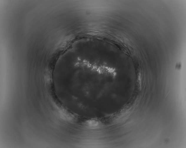 X0000091240272200708161742