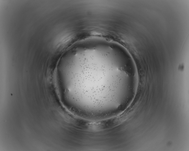 X0000091240273200708161742