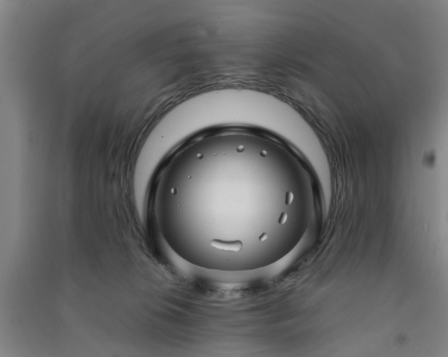 X0000091240276200708161742