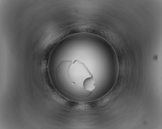 X0000091240278200708161742