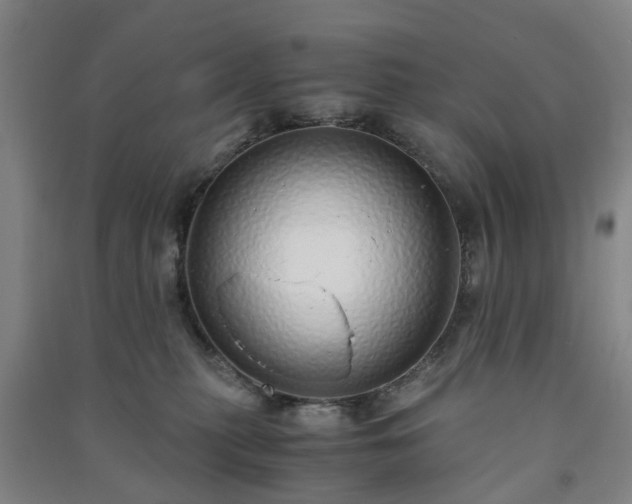 X0000091240279200708161742