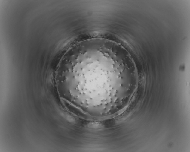 X0000091240280200708161742
