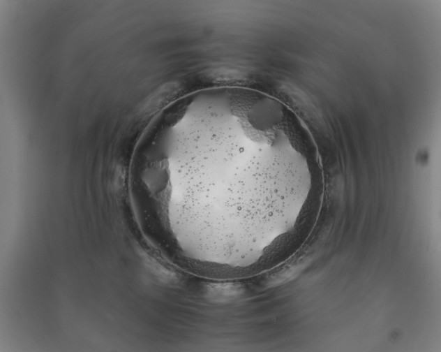 X0000091240281200708161742