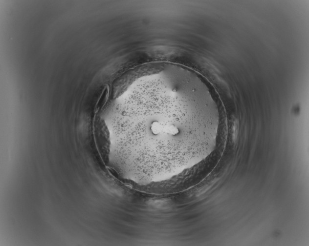 X0000091240283200708161742
