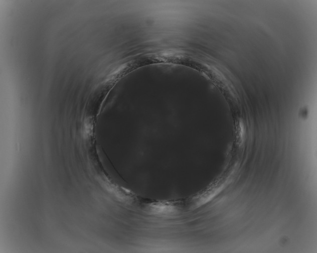 X0000091240284200708161742