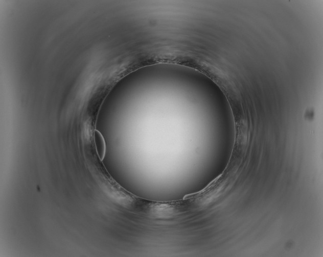 X0000091240287200708161742