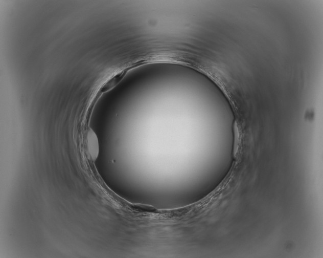 X0000091240289200708161742
