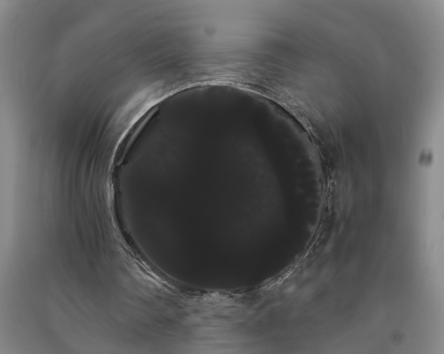 X0000091240290200708161741