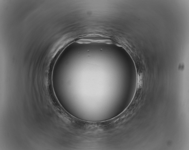 X0000091240291200708161741