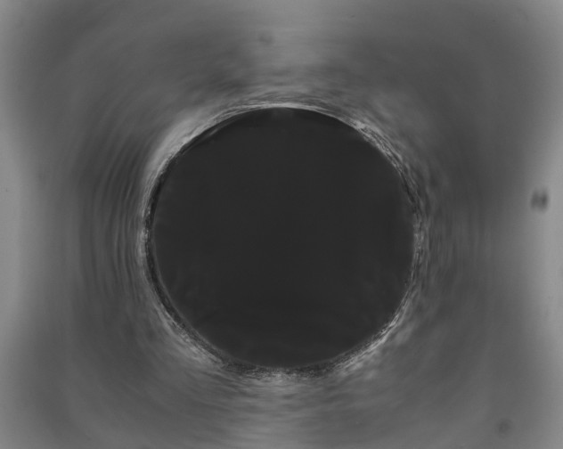 X0000091240293200708161741