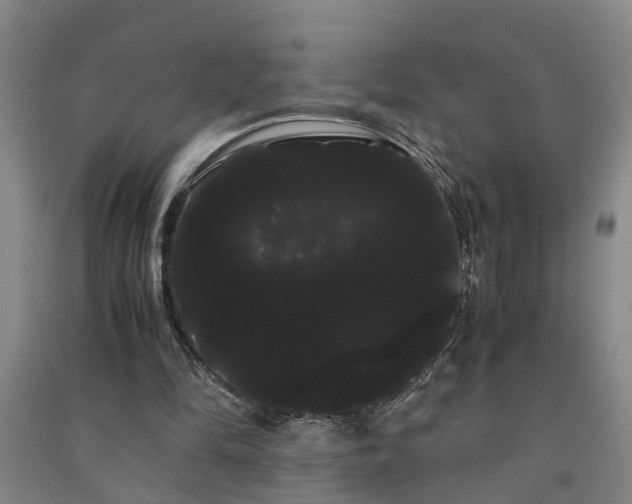 X0000091240294200708161741