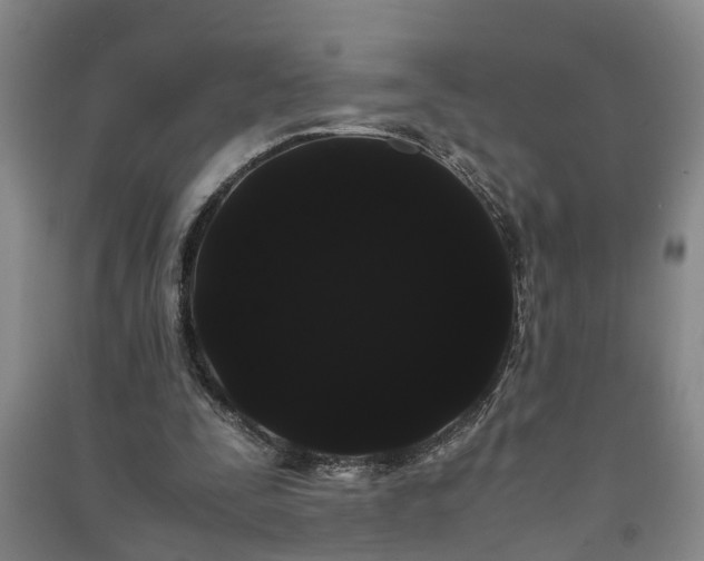 X0000091240295200708161741