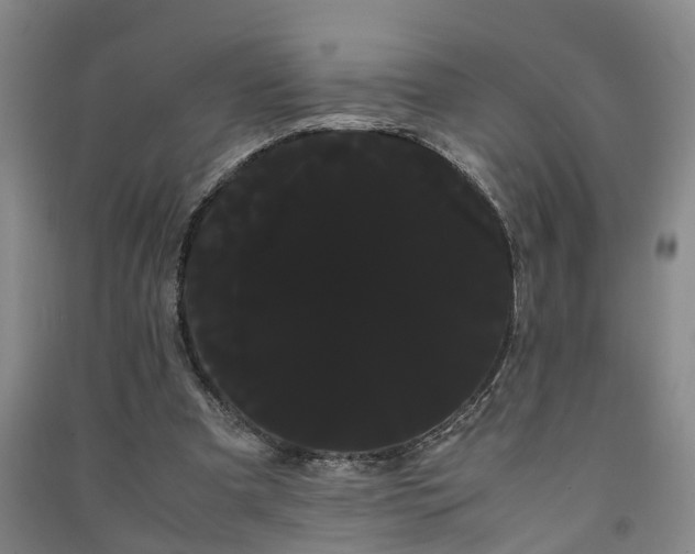 X0000091240297200708161741