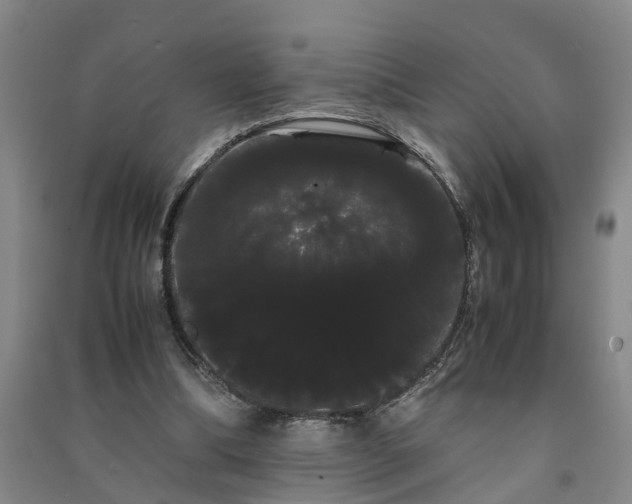 X0000091240298200708161741