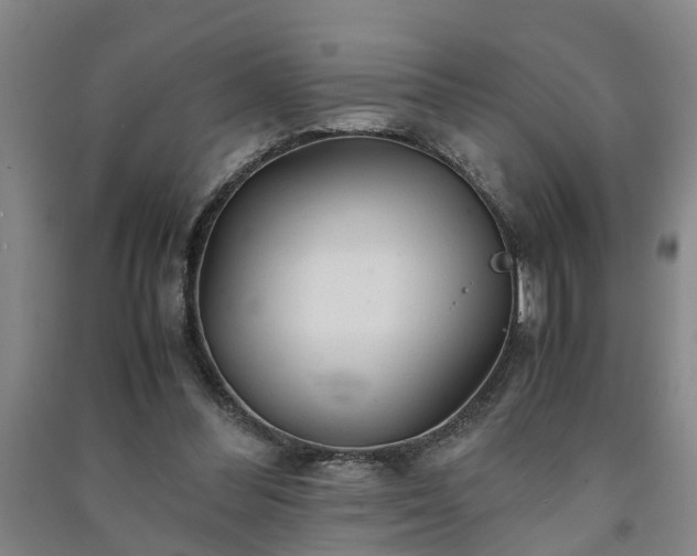 X0000091240300200708161741