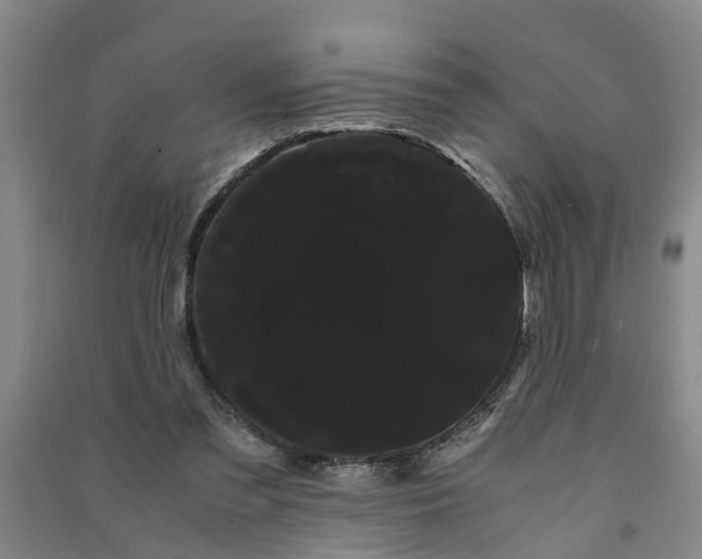 X0000091240301200708161741