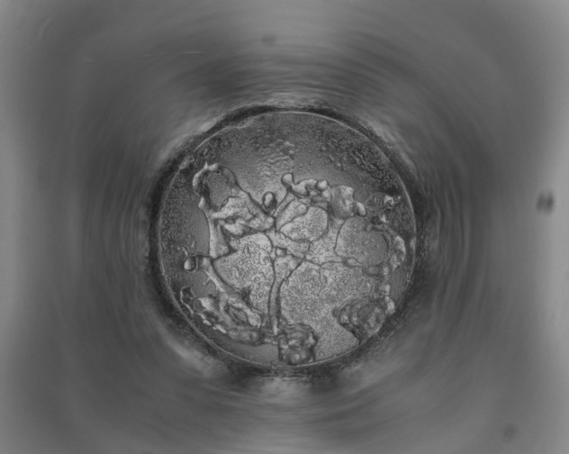 X0000091240303200708161741