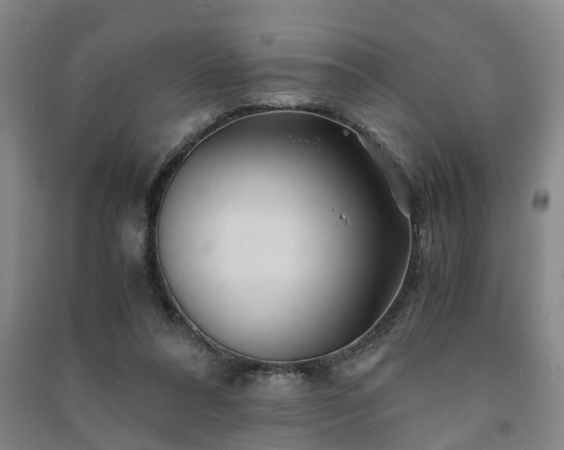 X0000091240304200708161741