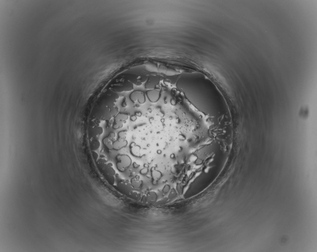 X0000091240305200708161741