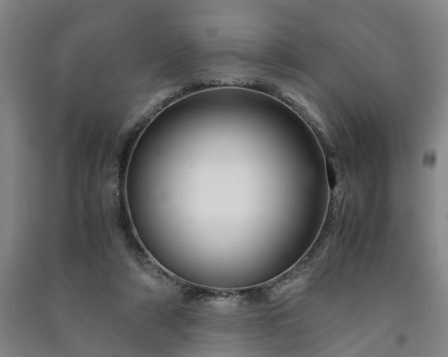 X0000091240306200708161741