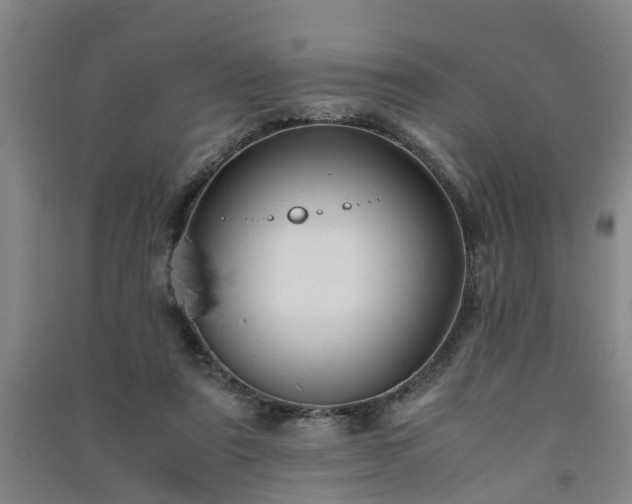X0000091240307200708161741