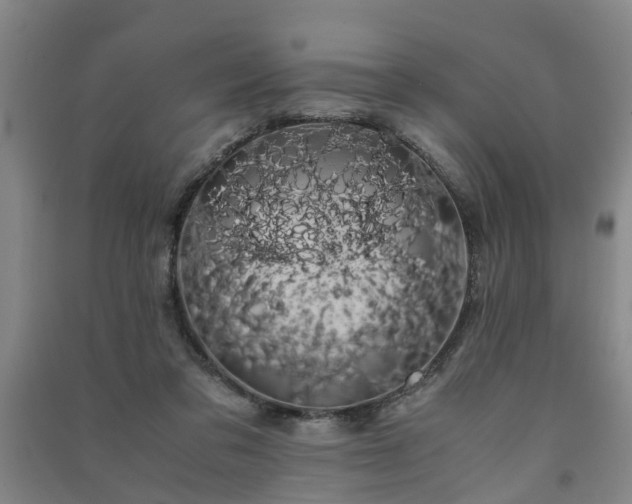 X0000091240309200708161741