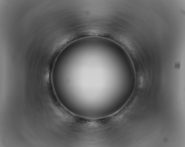 X0000091240310200708161741