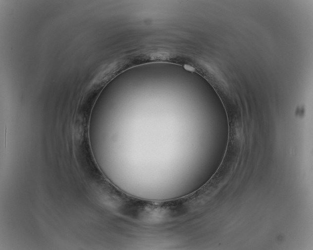 X0000091240311200708161741