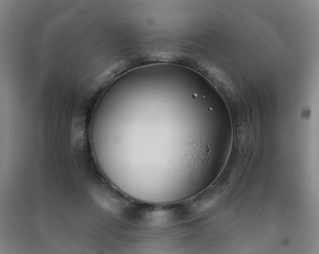 X0000091240312200708161741