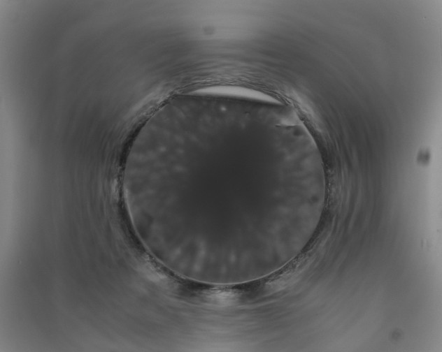 X0000091240313200708161741