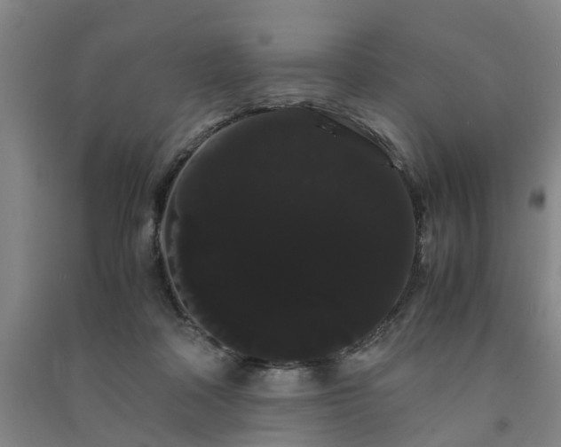 X0000091240314200708161741