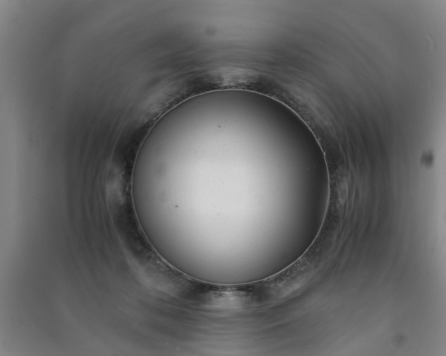X0000091240316200708161741