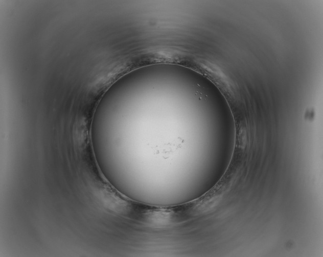 X0000091240318200708161741