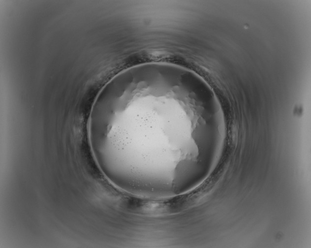 X0000091240319200708161741