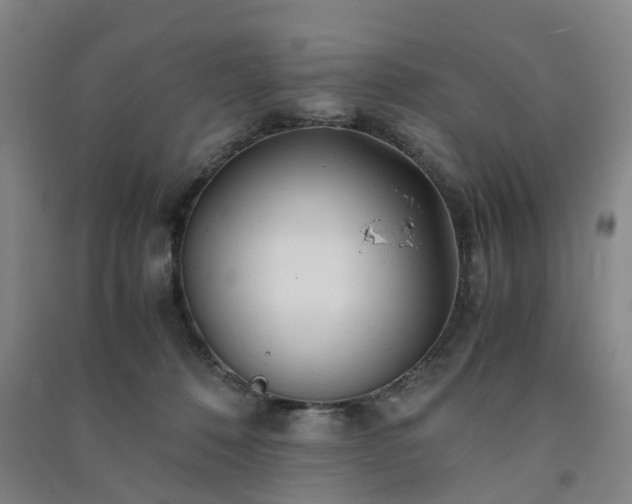X0000091240320200708161741